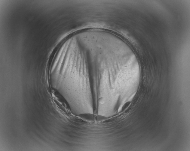 X0000082171272200702092234