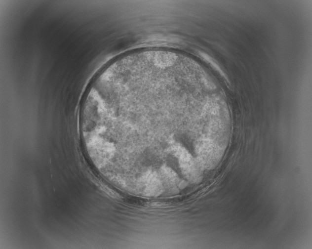 X0000082171275200702092234