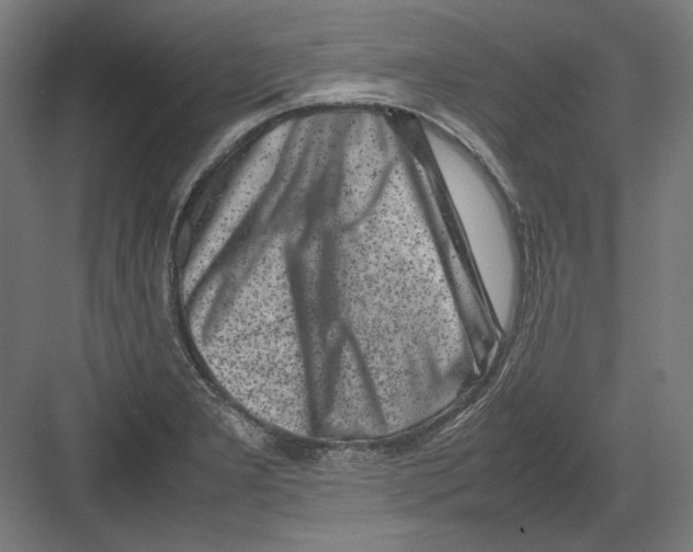 X0000082171277200702092234