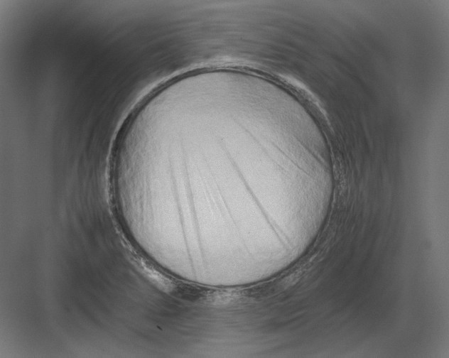 X0000082171278200702092234