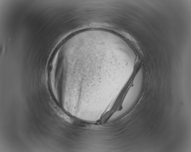 X0000082171280200702092234