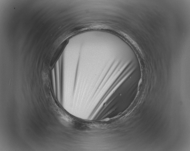 X0000082171281200702092234