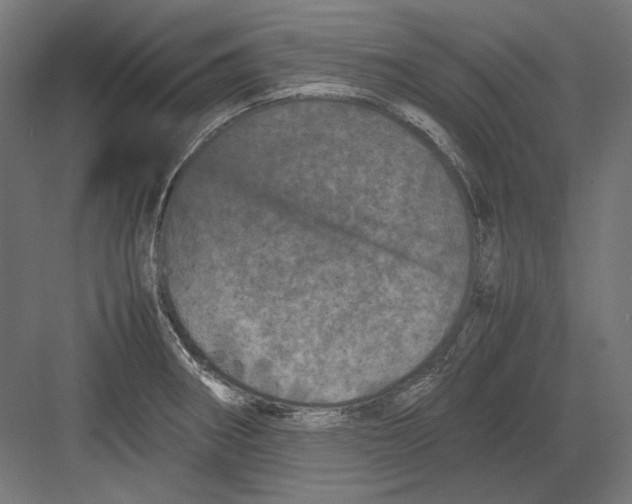 X0000082171282200702092234