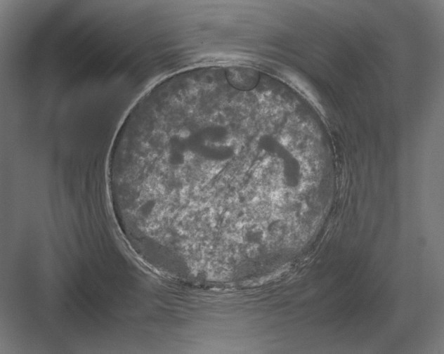 X0000082171283200702092234