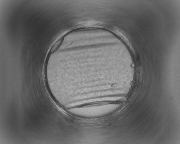 X0000082171285200702092234