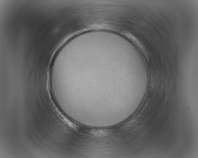 X0000082171286200702092234