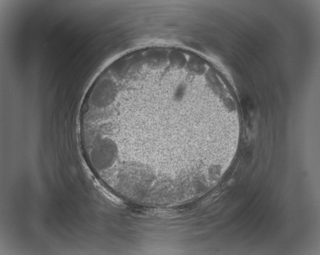 X0000082171287200702092234