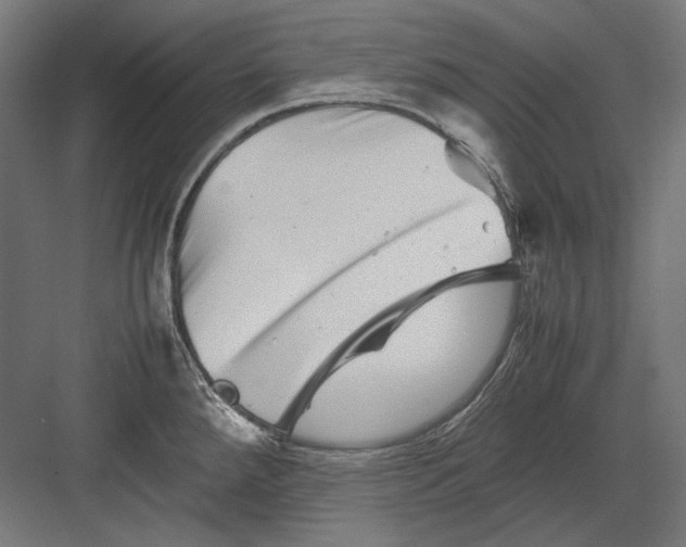 X0000082171288200702092234