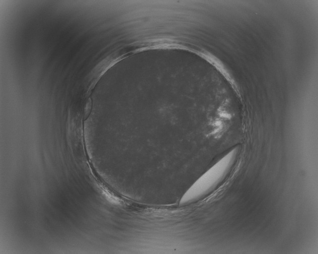 X0000082171289200702092234