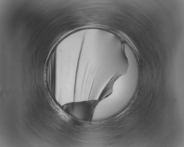 X0000082171292200702092234