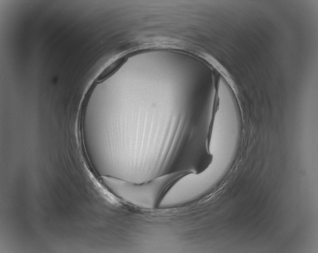 X0000082171293200702092234