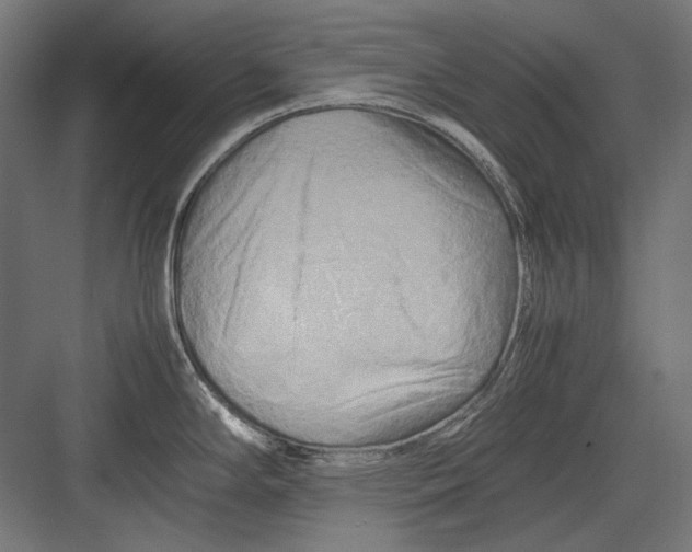 X0000082171294200702092234