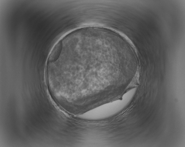 X0000082171295200702092234