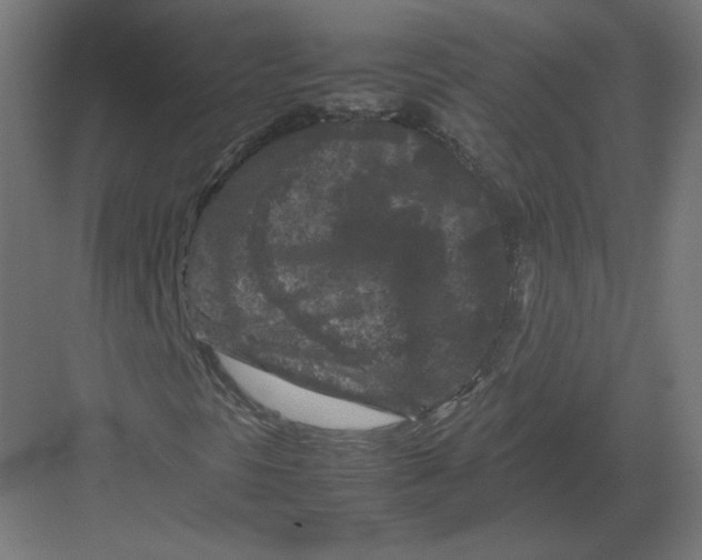 X0000082171297200702092233