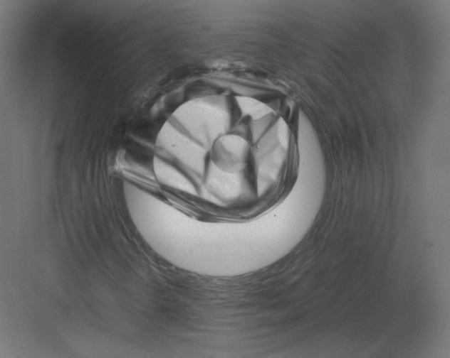 X0000082171298200702092233