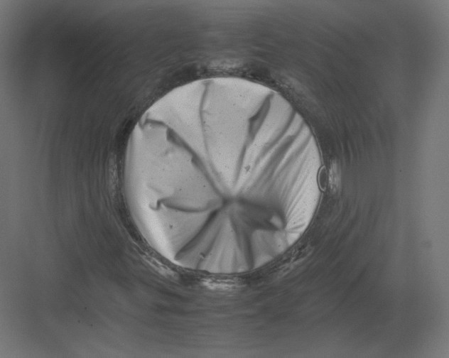 X0000082171299200702092233