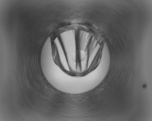 X0000082171300200702092233