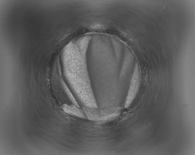 X0000082171301200702092233