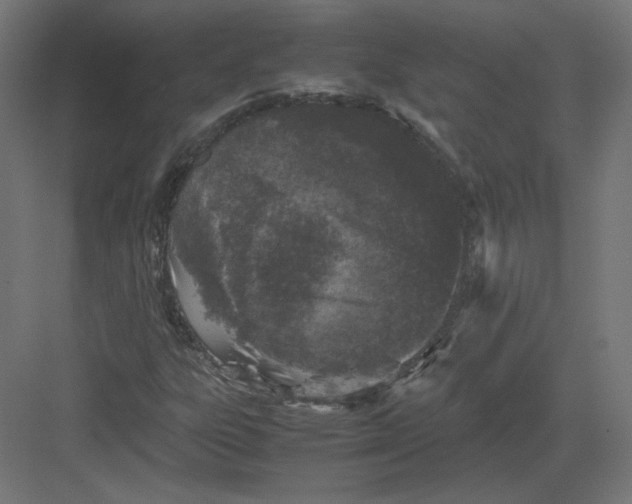 X0000082171303200702092233