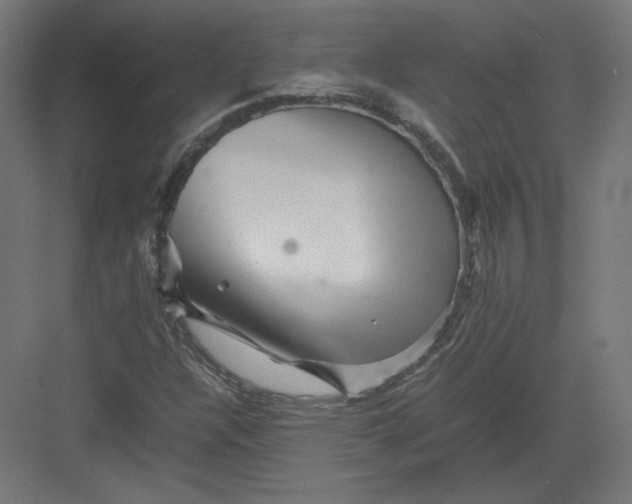 X0000082171304200702092233