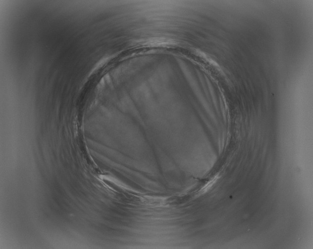 X0000082171306200702092233