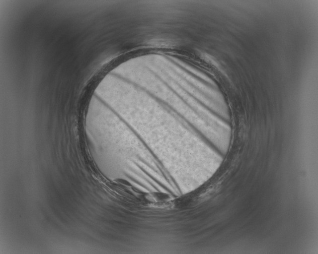 X0000082171307200702092233