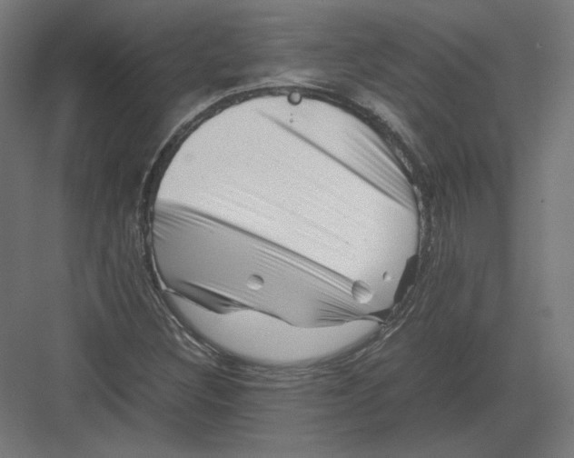 X0000082171308200702092233