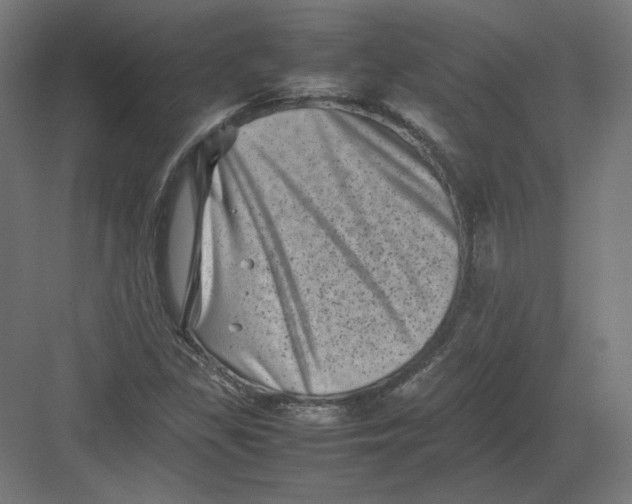 X0000082171309200702092233