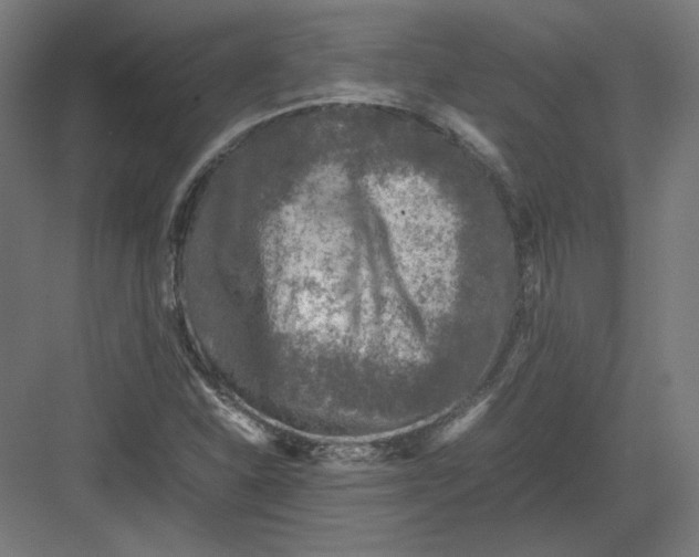 X0000082171310200702092233