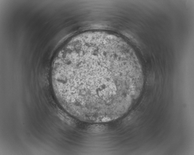 X0000082171314200702092233