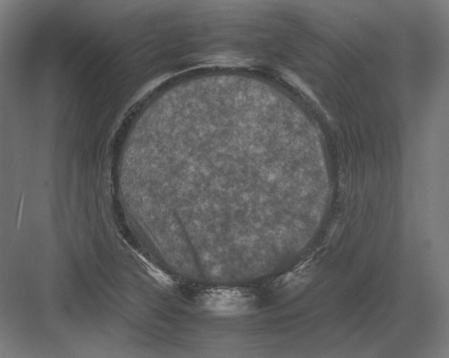 X0000082171315200702092233