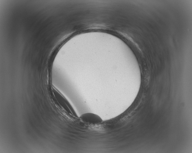 X0000082171317200702092233