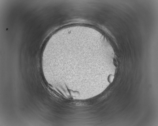 X0000082171318200702092233