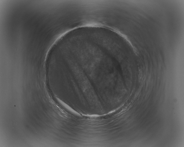 X0000082171319200702092233