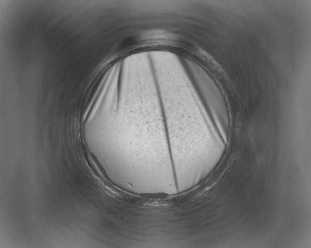 X0000082171321200702092233