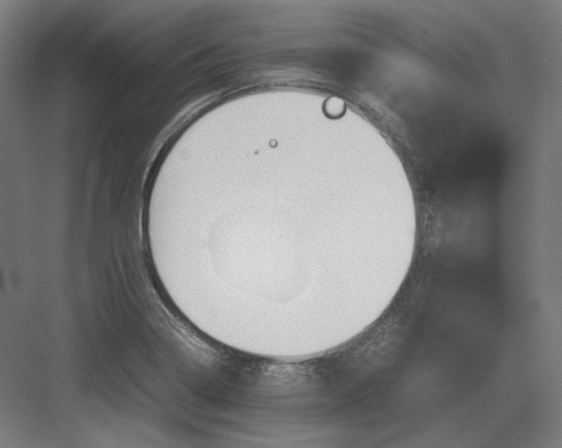 X0000082171322200702092233