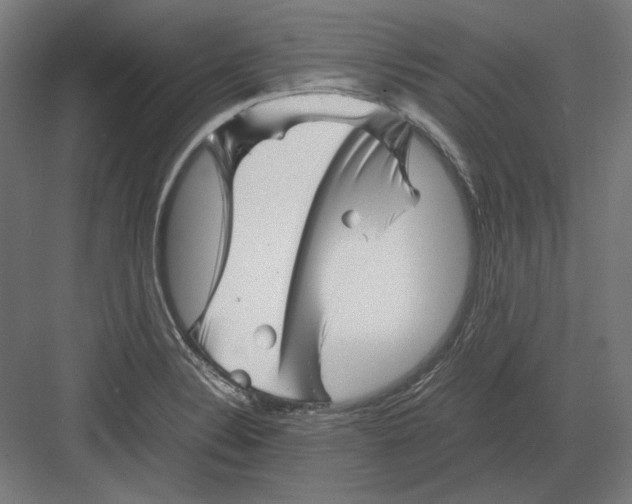 X0000082171324200702092233