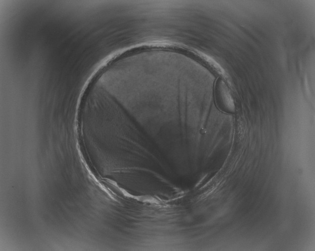 X0000082171327200702092233