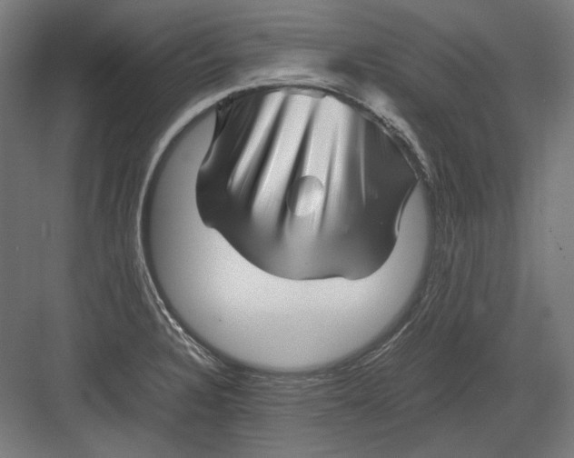 X0000082171328200702092233