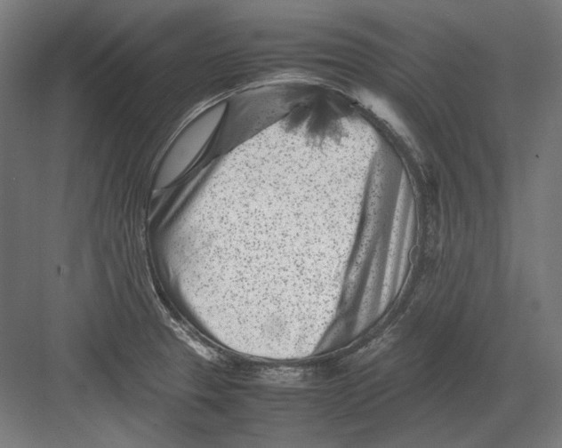 X0000082171329200702092233