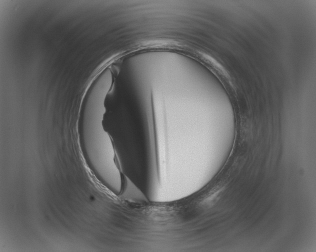 X0000082171330200702092233