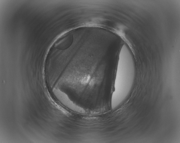 X0000082171331200702092233