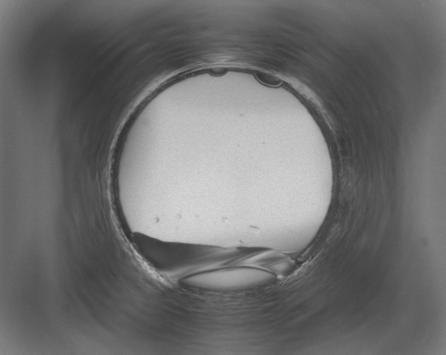 X0000082171333200702092233