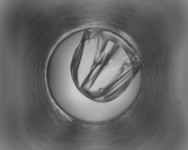 X0000082171334200702092233