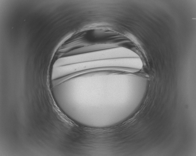 X0000082171336200702092233