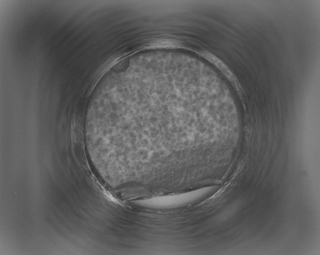 X0000082171337200702092233