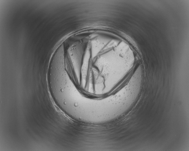 X0000082171338200702092233