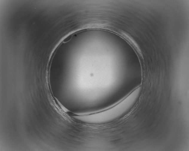 X0000082171340200702092234