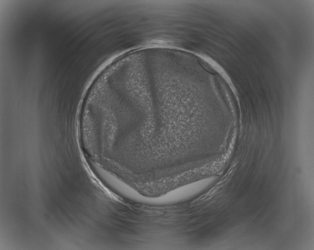 X0000082171341200702092234