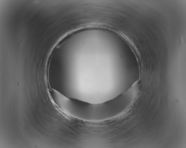 X0000082171342200702092234